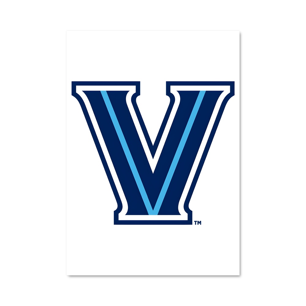 Poster Virginia Pride – affiche Basketball